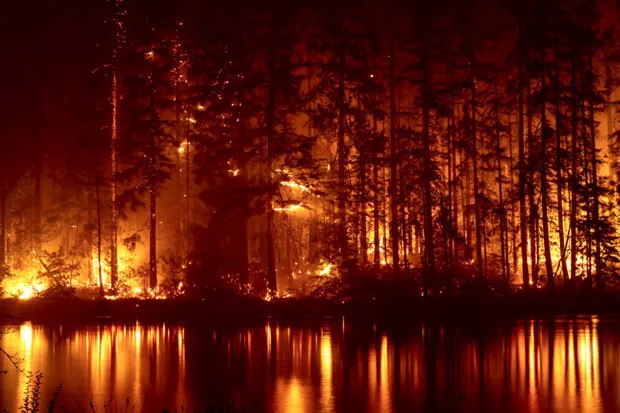 U.S. FOREST SERVICE