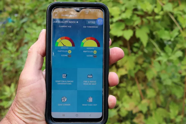Entering data into the Smoke Sense app. - DAMIAN FAGAN