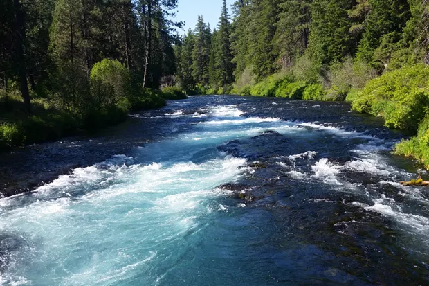 Wizard Falls along the Metolius River. - DAMIAN FAGAN