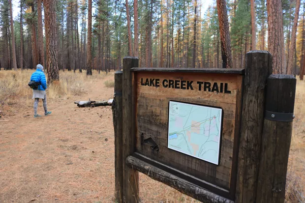 A hiker enjoys the changing season along the Lake Creek trail. - DAMIAN FAGAN