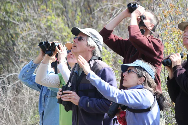 Sneaking up on birds started out as "bird watching," but today these folks are "birding." - CHUCK GATES