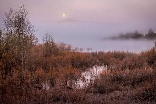 A super shot of the April Super Moon! Thanks for sharing this foggy Oregon scene with us @tonitstop. Tag @sourceweekly in your photos while you are out and about for your chance to be featured here and in the Cascades Reader. - @TONITSTOP / INSTAGRAM