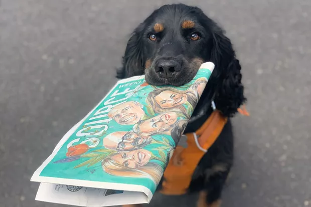 Local pup Kenai Lee knows where to go to catch the best political coverage! Thanks to Marguerite Lee for sending in this photo featuring last week's issue. Tag us @sourceweekly for a chance to be featured here and in the Instagram of the Week in the Cascades Reader. - COURTESY MARGUERITE LEE