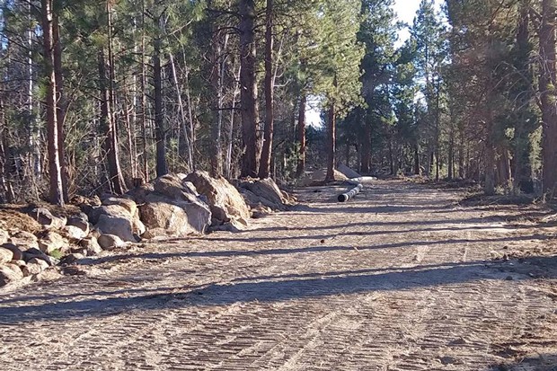 Paths cleared through the forest is one of the homeowner group's biggest complaints with Tumalo &#10;Irrigation Ditrict's pipeline. - PATRON GROUP IN TUMALO LAWSUIT