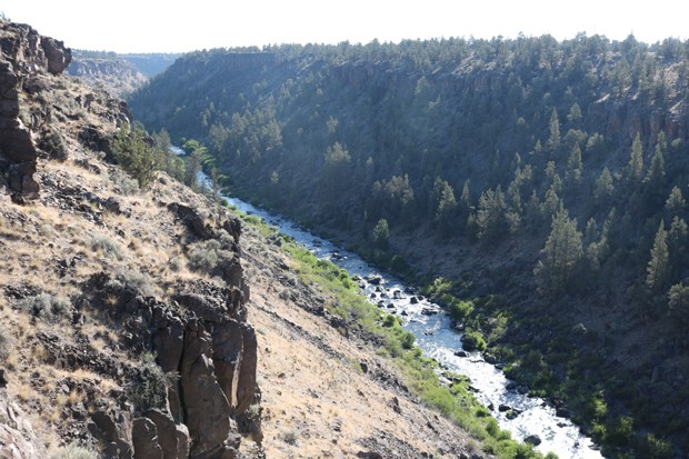 A view into the Deschutes River Canyon near Wildcat Canyon. - DAMIAN FAGAN