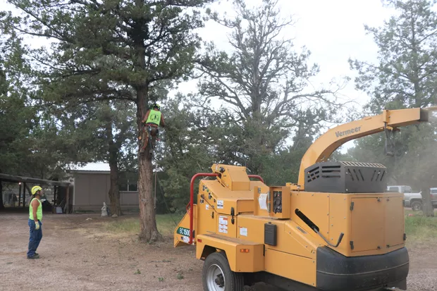 Wood is loaded into a woodchipper with the debris flying into a Central Oregon Tree Experts Truck. - JACK HARVEL