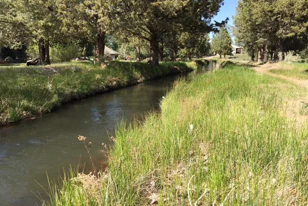 An open canal of the Arnold Irrigation District. - COURTESY ARNOLD IRRIGATION