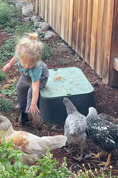 “My girl is petting Dot. Dot was the tiniest little chick and it just suited her so well. The others are, Lacy, Blue, and Stevie Chicks,” said chicken mom Emily Mattison. - SUBMITTED