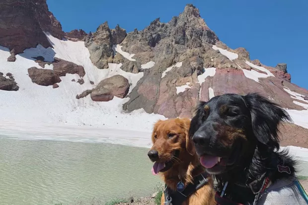 Get a load of these two cuties conquering the mountains! @gooddogsofbend shared this shot with us from the Broken Top trail summit. That's the good life, right there. Share your photos with us and tag us @sourceweekly for a chance to be featured here and as the Instagram of the Week in the Cascades Reader. Winners get a free print from @highdesertframeworks! - @GOODDOGSOFBEND/INSTAGRAM