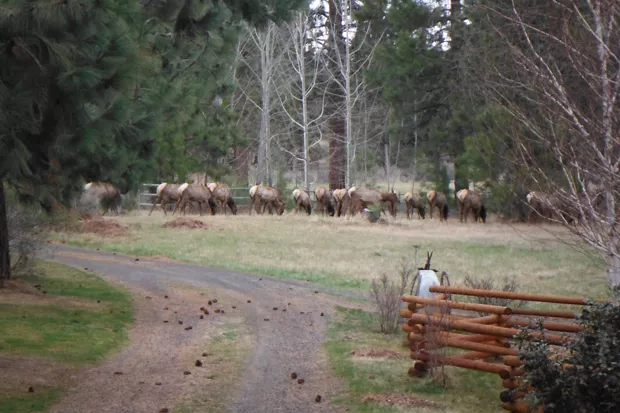 A view across the Horsman property enrolled in the WHCMP. - JENNIFER HORSMAN