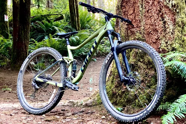 The Lemon Gulch mountain biking trail is still in the works after four years. - COURTESY UNSPLASH