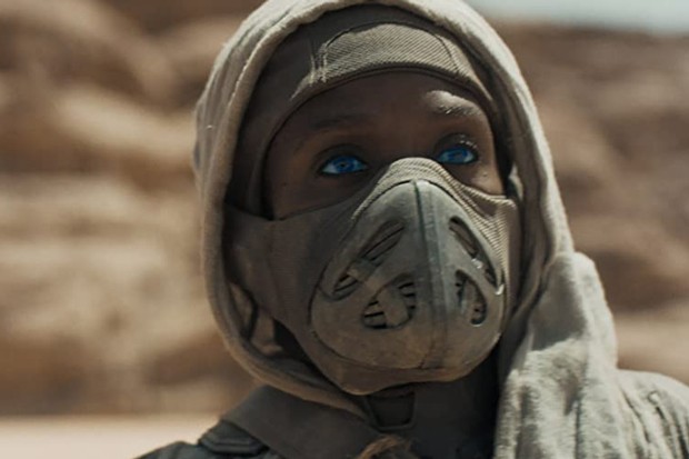 “Dune,” “Pig” and “The French Dispatch" are just a few of the remarkable movies we had this year. - PHOTOS COURTESY OF WARNER, NEON AND SEARCHLIGHT