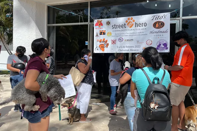 After surgery, people could sit with their animals until the pets were recovered enough to go home. Between waiting for surgeries, undergoing the procedures and recovery time, some people and their pets spent all day at the clinic. - COURTESY STREET DOG HERO