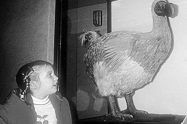 Jim's daughter with the last passenger pigeon - JIM ANDERSON