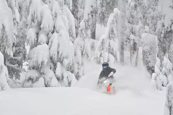 Cascade Snowbikes co-owner Dave Reuss rides the deep powder on one of the snowbikes he built. - CHRIS RIESNER