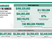Cannabis by the Numbers