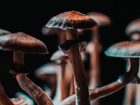 Vote No on Measure 9-152 &ndash; Allow Psilocybin Manufacturing and Service Centers in unincorporated Deschutes County