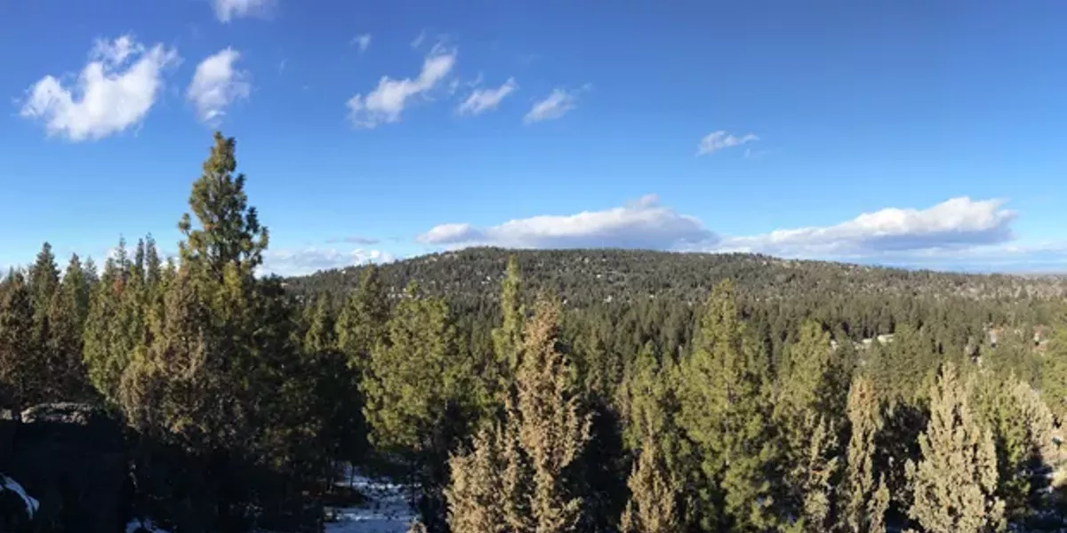 Neighborhoods: The Allure of Awbrey Butte - Vimarsana News