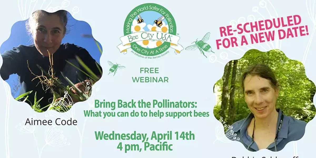 Bring Back the Pollinators: What you can do to help support bees - Vimarsana News