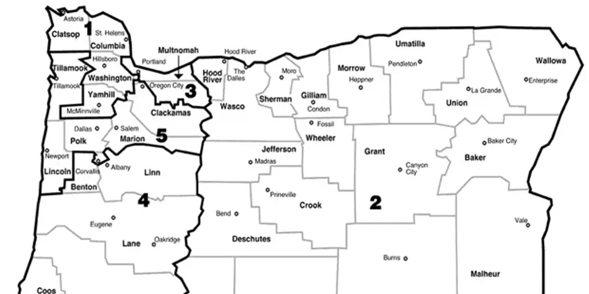 Congressional District 2 is a Huge Geographic Area. Break It Up, Already. - Vimarsana News