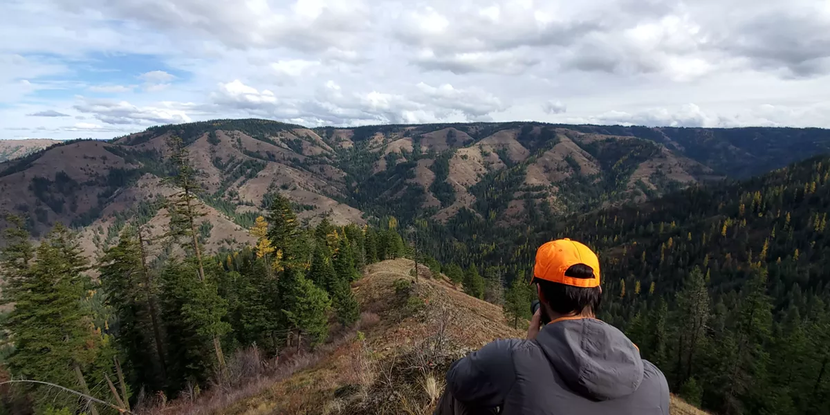 Backcountry Brews: Coffee with the Hunting Curious - Vimarsana News