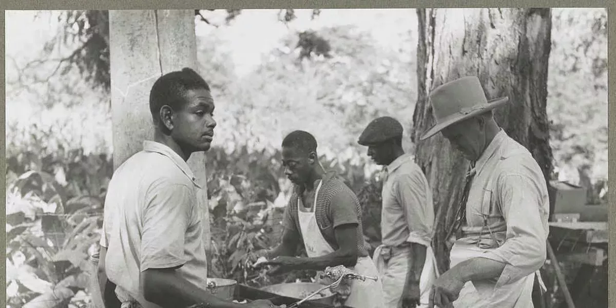 Black History Month - Food Is Culture - Vimarsana News