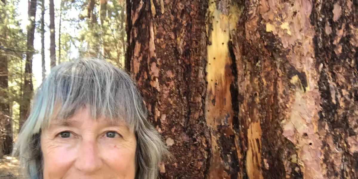 Fireside Story Evening - Vimarsana News