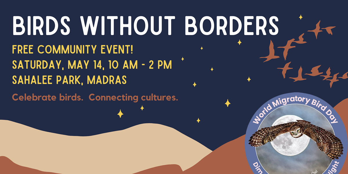 Birds Without Borders - Vimarsana News