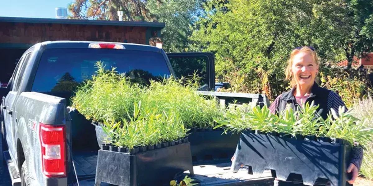 Save Water, Plant Native! - Vimarsana News
