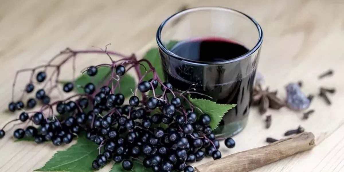 Making Elderberry Syrup - Vimarsana News
