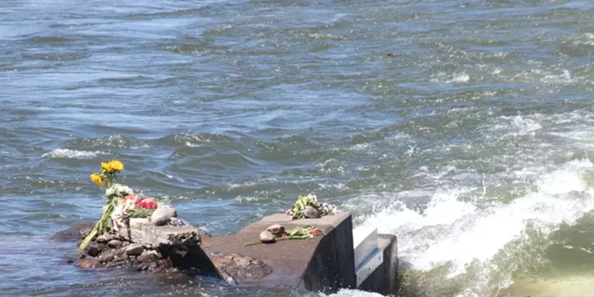 Surf's Back Up - Vimarsana News