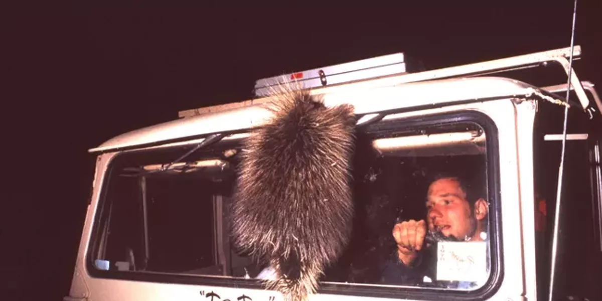 Oh, the Poor Old Porcupine - Vimarsana News