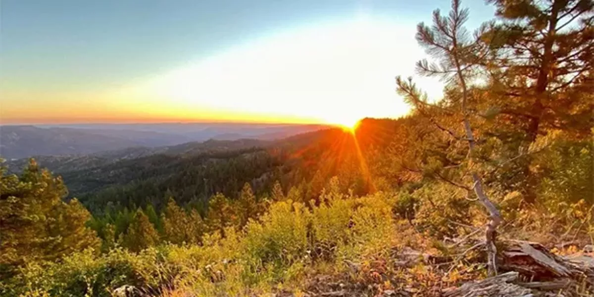 Letters to the Editor 08/04/2022 - Vimarsana News