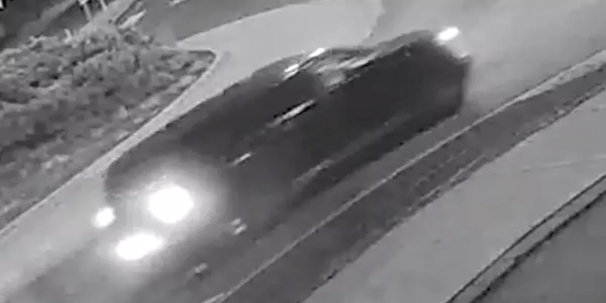 Pedestrian Dies After Hit and Run - Vimarsana News
