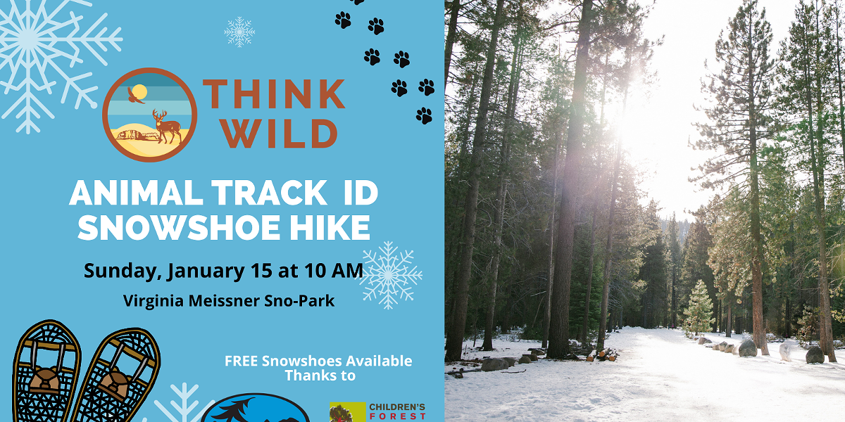 Wildlife Track ID Snowshoe Hike - Vimarsana News