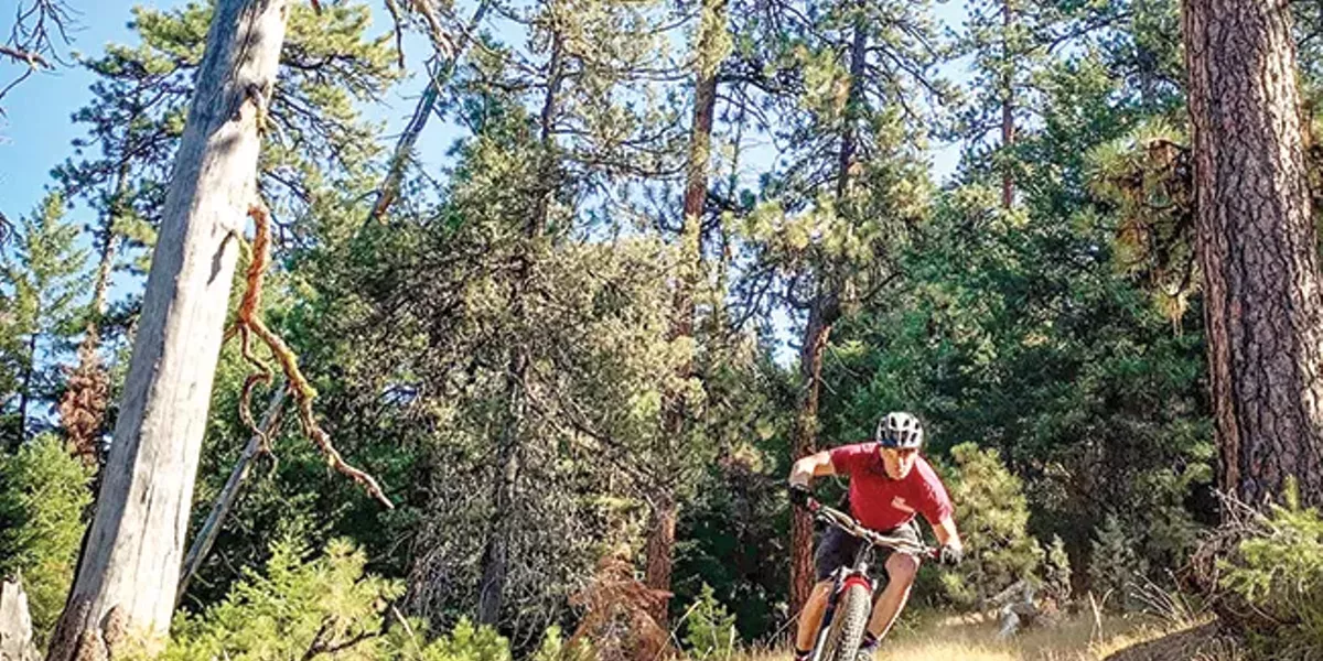 Lemon Gulch Project Aims for Ochoco Bike Trails - Vimarsana News