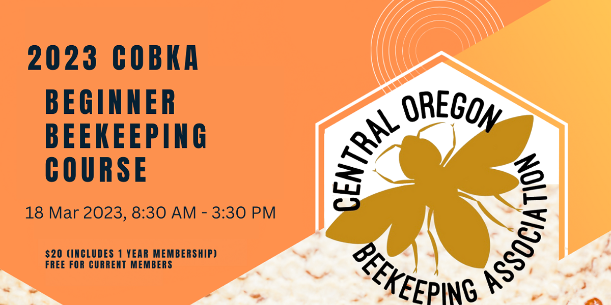 Beginner Beekeeping Course - Vimarsana News
