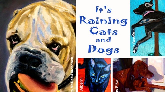 It's Raining cats and Dogs!