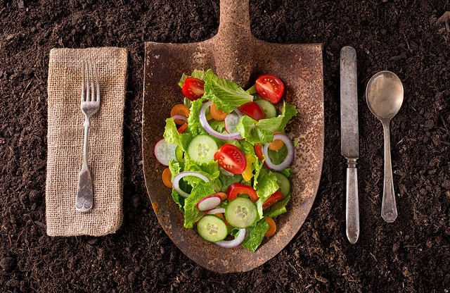salad on a spade blade layed on dirt with silverware beside it