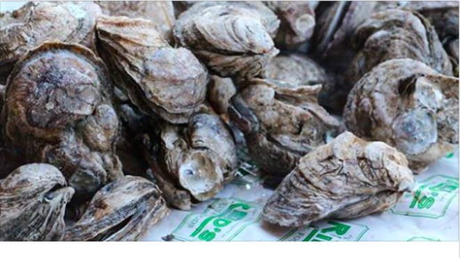 Annual Free Oyster Roast at Reid's SouthPark