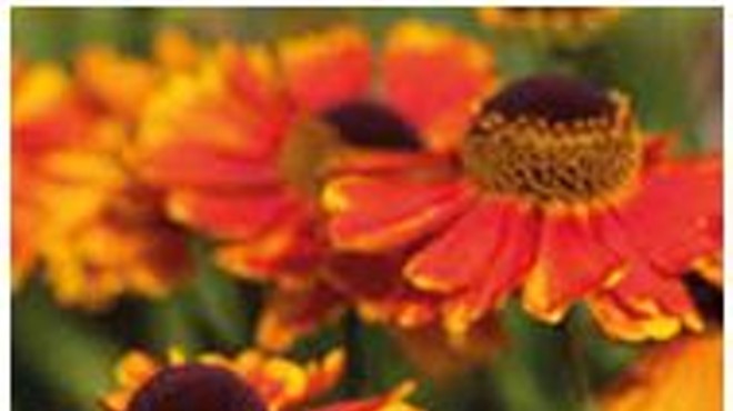 UNC Charlotte Botanical Gardens Fall Plant Sale