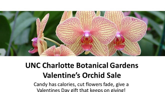 UNC Charlotte Botanical Gardens Valentine's Day Orchid Sale