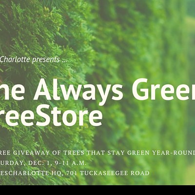 Always Green TreeStore