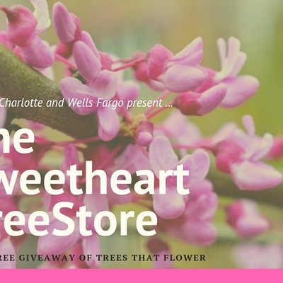 Sweetheart TreeStore ... presented by Wells Fargo