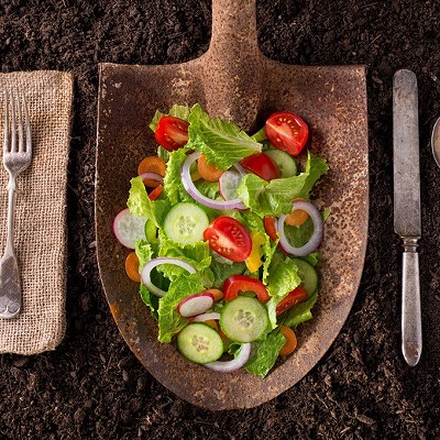 salad on a spade blade layed on dirt with silverware beside it