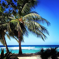 3 things to do in Barbados