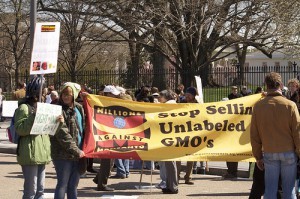 An anti-Monsanto demonstration at the White House this past Saturday. (Thanks to 'mar is sea Y' for the photo.)