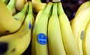 Boomer talks Chiquita bananas