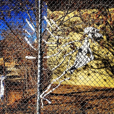 Dem Bones: Quail Lake California Fence