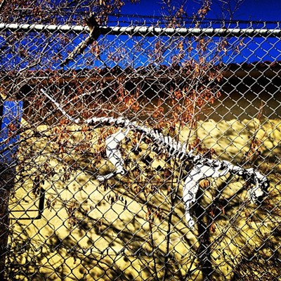 Dem Bones: Quail Lake California Fence